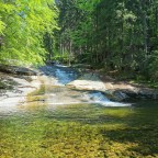 Brit and Czech not abroad