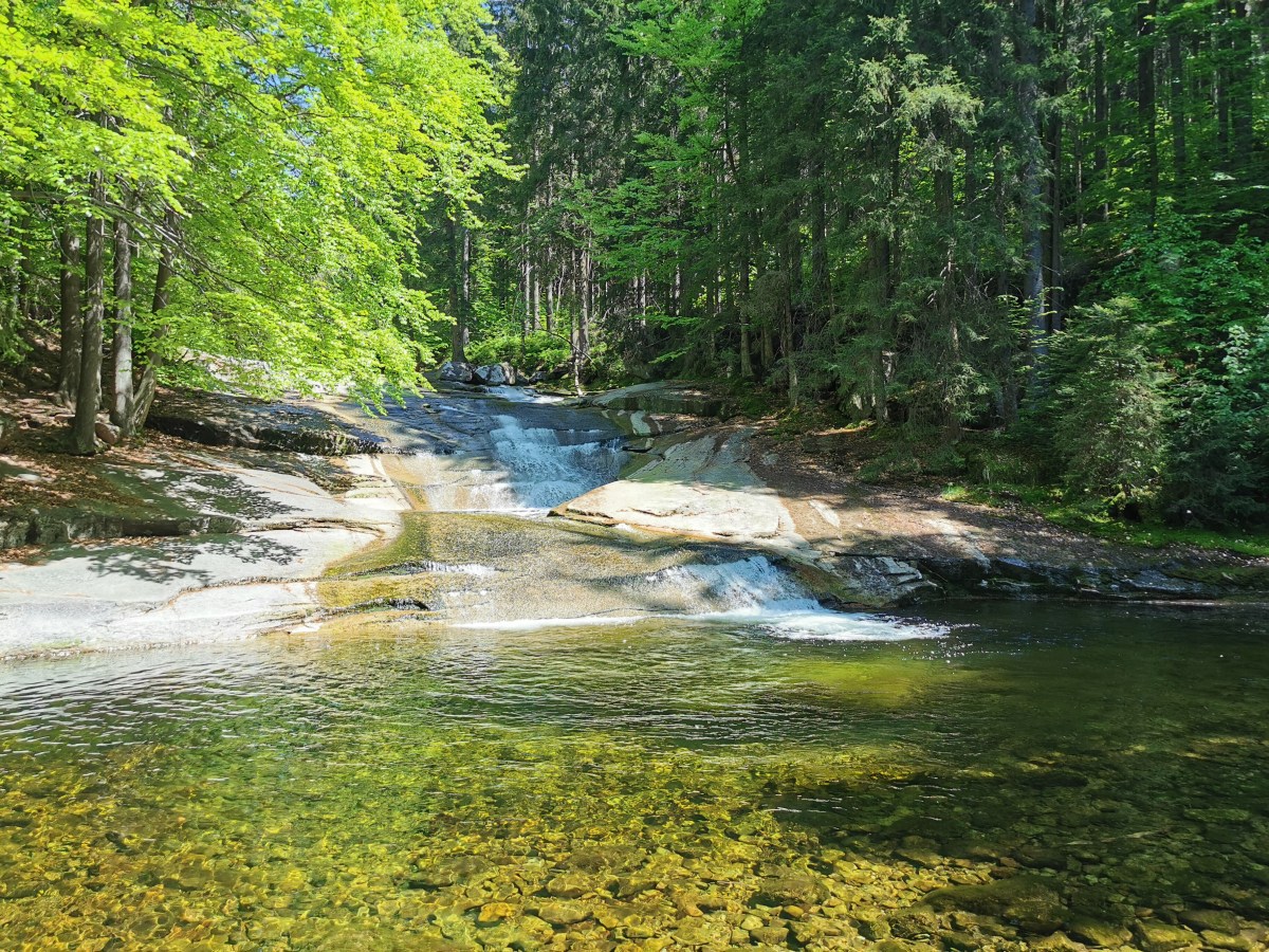 Brit and Czech not abroad