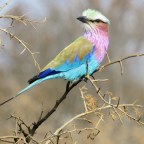 And we’re back again