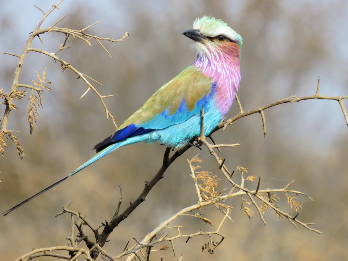 And we’re back again